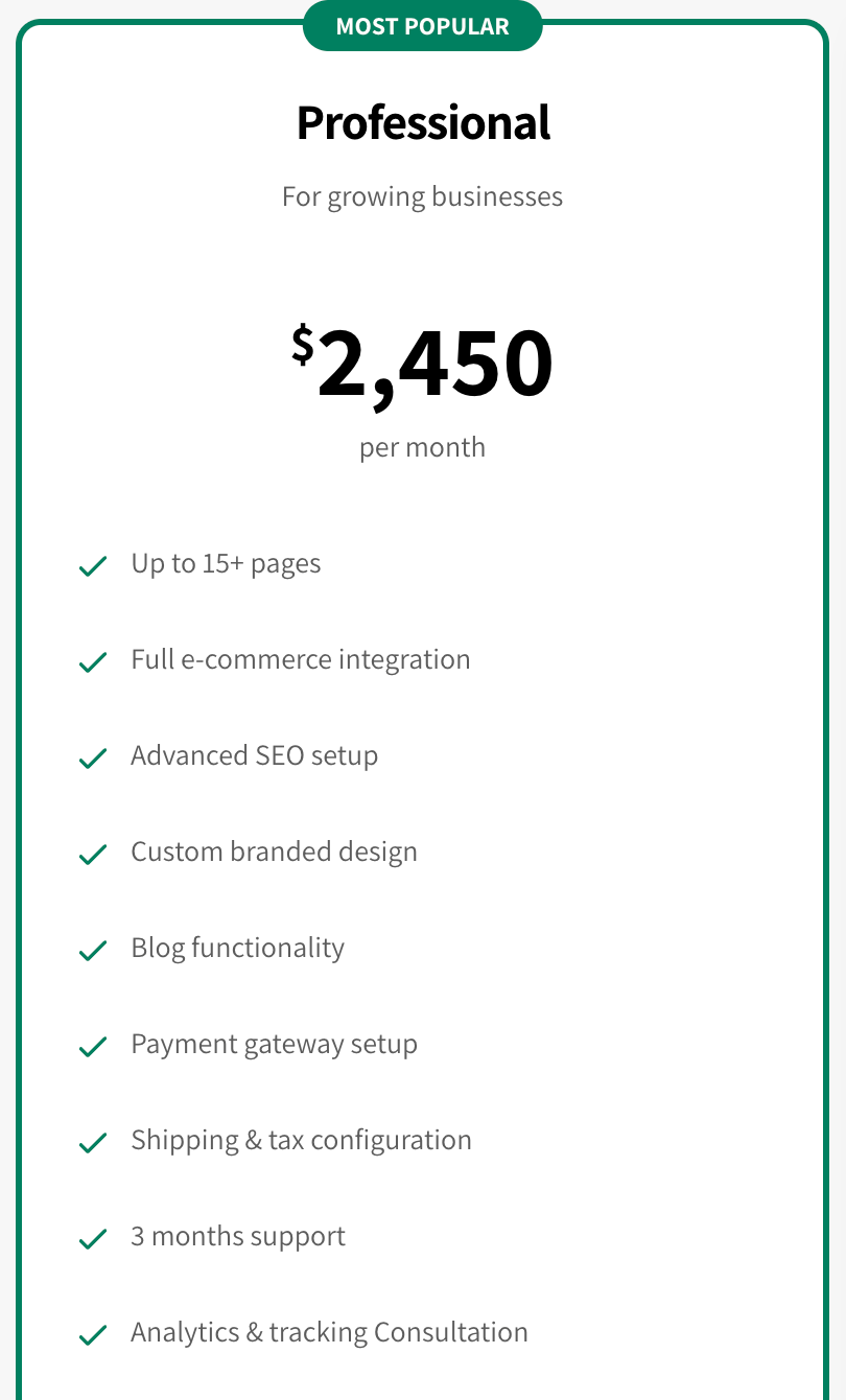 Professional - Website